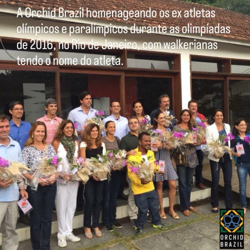 9C0AACDF-2DDC-4C91-ADC3-736706ABDB1C_1_105_c