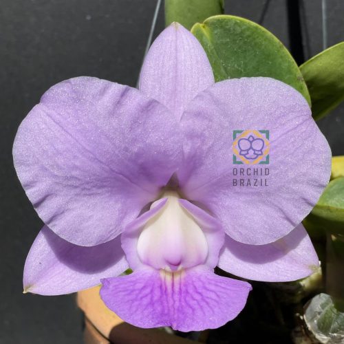 BF84E6C3-671D-40DF-AF7D-6F7888C2AA9C