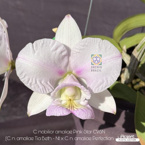 FD9D277A-1A25-4CFF-B62E-D639B4D7BF11